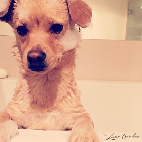 bath time!