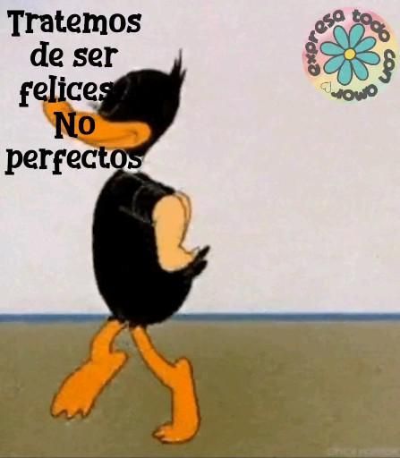 Pin de Angiepaolamorenoibarguen en gif ☺ [Video] en 2022 | Frases chistosas para whatsapp, Frases bonitas de motivacion, Frases de detalles