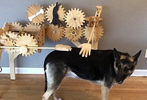 No tiene tiempo para su mascota? le tenemos La máquina automática para acariciar perros t.co/ekXUqpPqwS t.co/zq9FylTLHM t.co/k4wMl61qLu