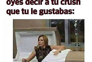 16 Imágenes que te harán decir 'yo cuando me muera'