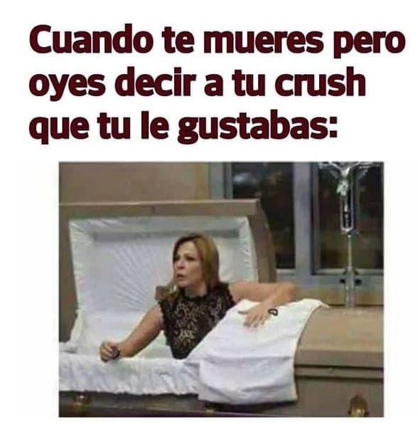 16 Imágenes que te harán decir 'yo cuando me muera'