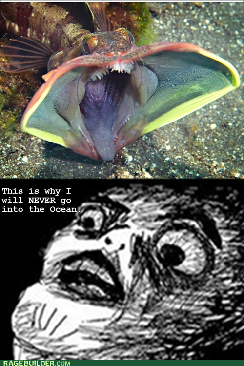 rage comics -