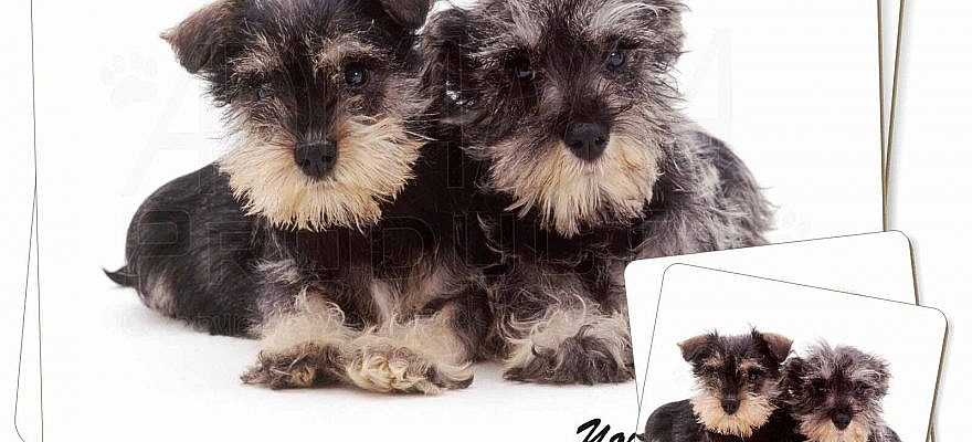 Customer Support - Please call or email us if you have any questions Shop Categories: Dogs, Cats + Animals (By Breed) Photo Gifts (By Type) Mugs Christmas Baubles Photo Slates and Plates Snow Globes Bookmarks Compact Mirrors Glass Coasters Glass Placemats Tote Shopping + Laptop Bags Adopted By Bears Teddy Bears + Animal Soft Toys Newborn Baby to Toddler Gifts Christmas Collectables Country Artists Collectables Border Fine Arts Collectables Clocks-Animals + Whimsical Disney Figurines Collectables Animal Figurines Rosina Watchmeister (Cats) Kitte