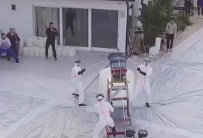 Largest elephant toothpaste #viral #gifs #video