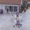 Largest elephant toothpaste #viral #gifs #video