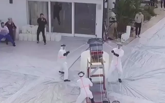 Largest elephant toothpaste #viral #gifs #video