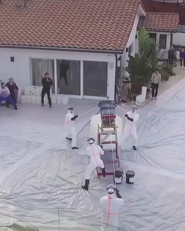 Largest elephant toothpaste #viral #gifs #video