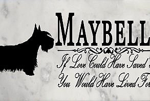 This Scottish Terrier Marble Memorial Stone comes personalized with your pet's name in just two days. This elegant Broad Bay Scottish Terrier memorial stone is truly the best way to remember a faithful and loving canine companion. The solid marble stone is excellent for indoors as a pet memorial or outdoors as a grave marker. This Scottish Terrier Memorial Stone is made out of solid marble and weighs roughly 2.5 lbs and is 12in x 6in and 3/8in in thickness. This memorial stone is the perfect gift for a Scottish Terrier owner during their time o