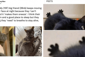 Scurry Away To Another Caturday Partay: Most Hisstreical Cat Memes Of The Week