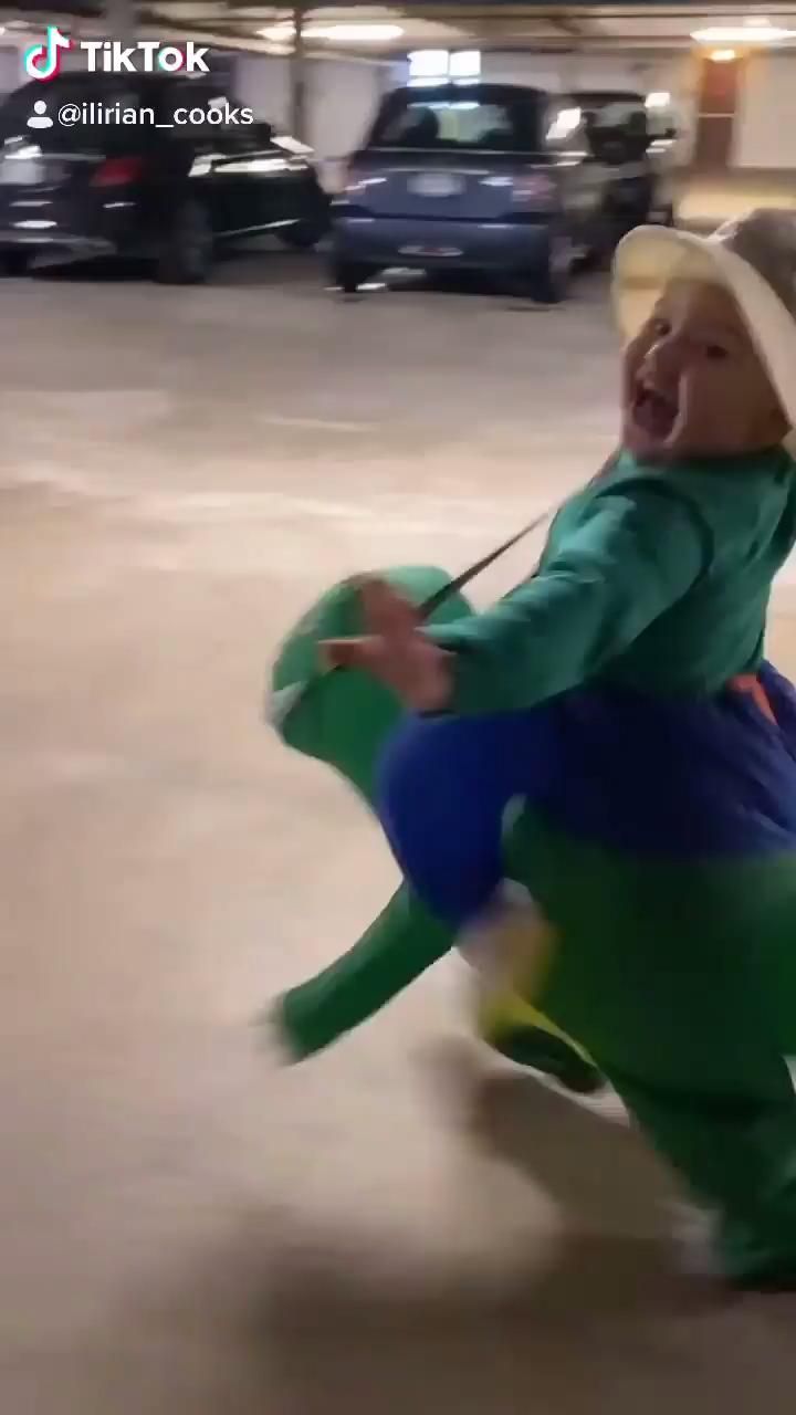 Un vídeo para alegrar su día