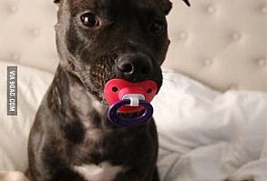 She loves pacifiers