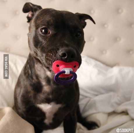 She loves pacifiers