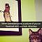 159 Hilarious Cat Snapchats That Will Leave You With The Biggest Smile (New Pics)