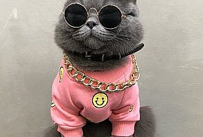 Street Style Smile Face Pink White Sweater Costume For Cats | Pawsmeme