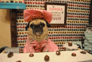 Sweatpants & Humor | Please Don’t Take Me ShoppingSweatpants & Humor | Please Don’t Take Me Shopping