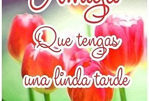 Fotos De Carmen G. En Buenas Tardes. | Tarjeta De Buenas