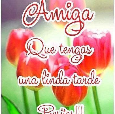 Fotos De Carmen G. En Buenas Tardes. | Tarjeta De Buenas