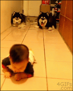 The cutest kind of imitation. | The 15 Most Delightful GIFs Of 2013