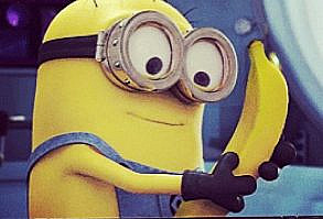 I want 2 pet minions becuz i would say