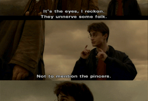 facial expression in the last picture: priceless