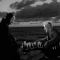 The Seventh Seal (1957) Director: Ingmar Bergman
