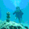 This: | 13 Spectacular Underwater GIFs