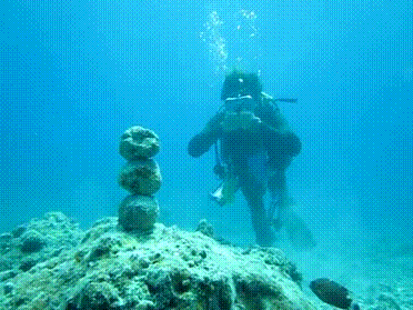 This: | 13 Spectacular Underwater GIFs