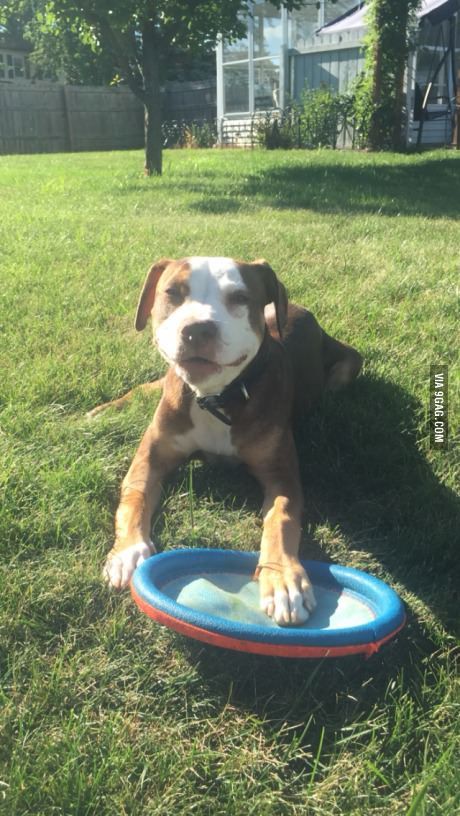 Thought you guys might like my girl Lily :)