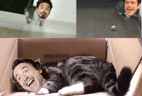 it's a video...LOL love his face in the kitten walking