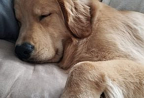 Tucker Budzyn (@tuckerbudzyn) / Twitter