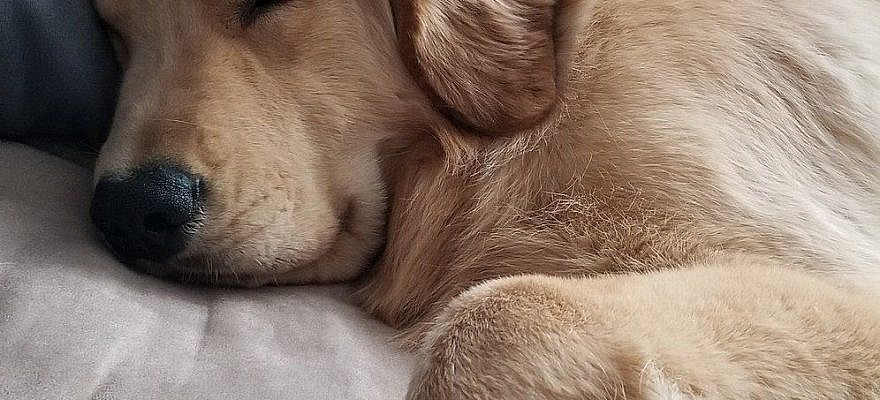 Tucker Budzyn (@tuckerbudzyn) / Twitter