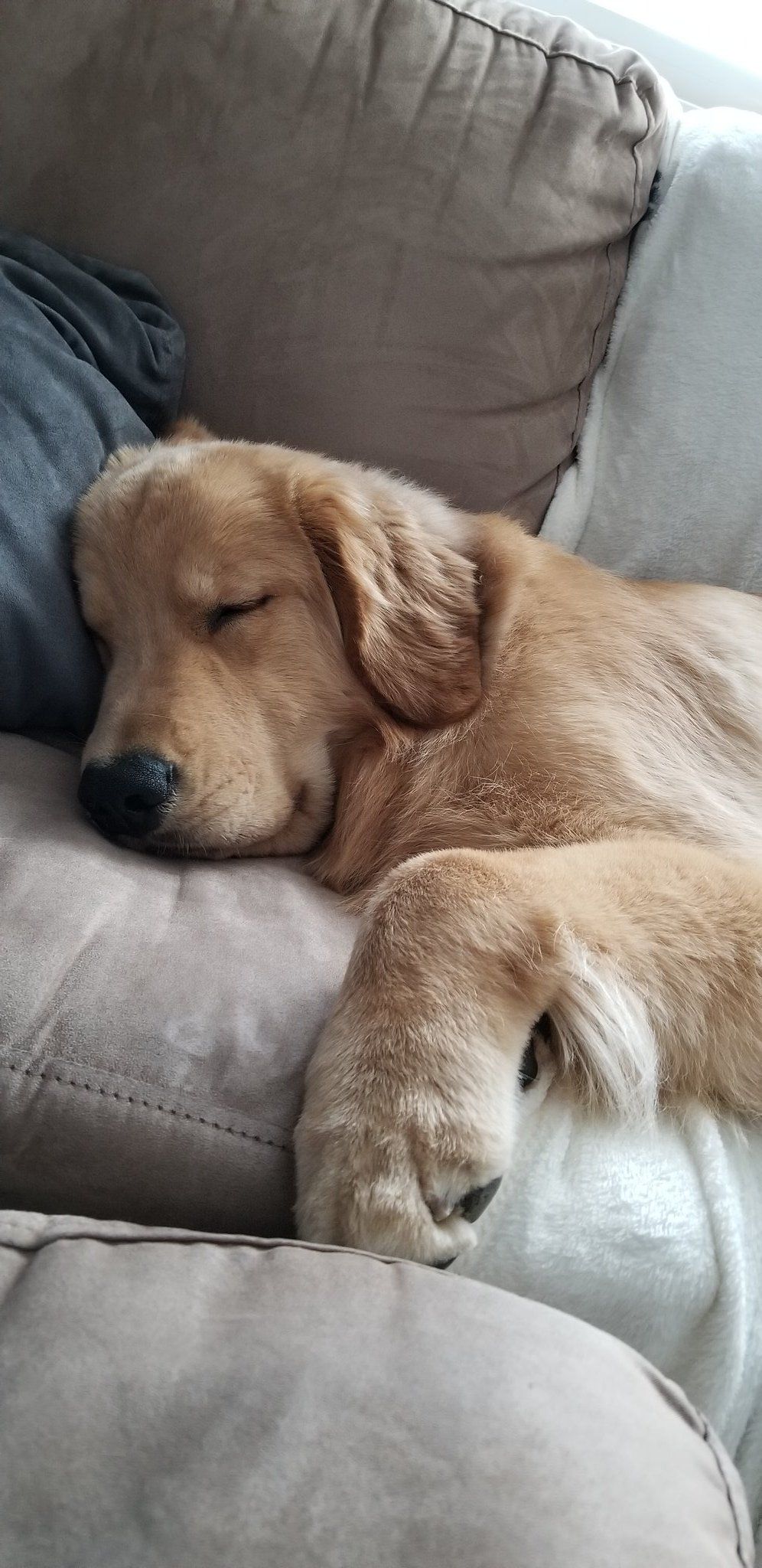 Tucker Budzyn (@tuckerbudzyn) / Twitter