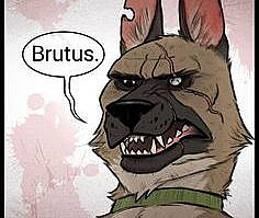 Un artista dibuja cómics sobre la amistad de una linda gatita y un perro pastor que no dejarán a nadie indiferente