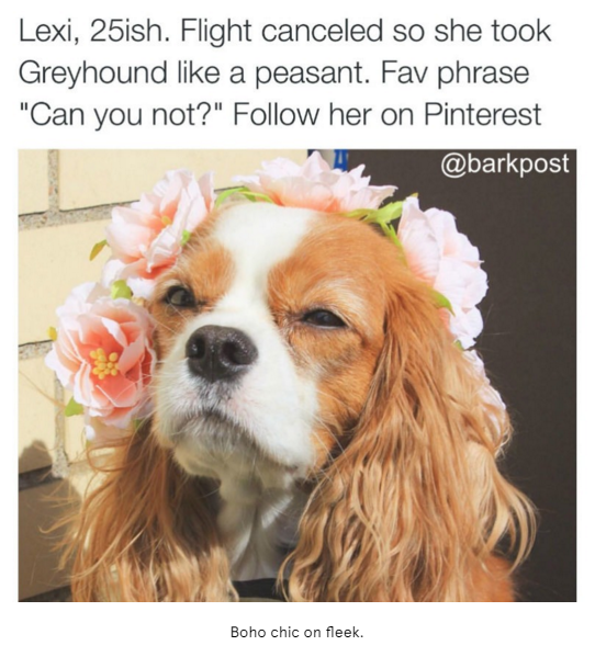 Snaggy - easy screenshots