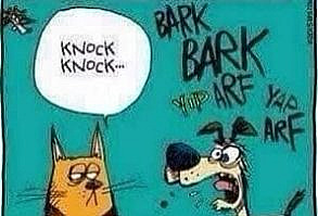 IFunny is fun of your life. Images, GIFs and videos featured seven times a day. Your anaconda definitely wants some. Fun fact: we deliver faster than Amazon.