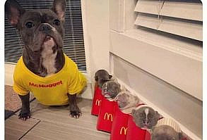 50 Posts From The “Wait This Is Wholesome” Facebook Group To Restore Your Faith In Humanity