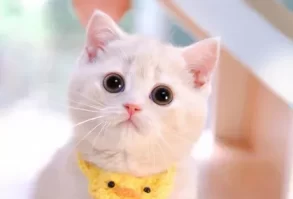 Welcome, sweetheart - 9GAG