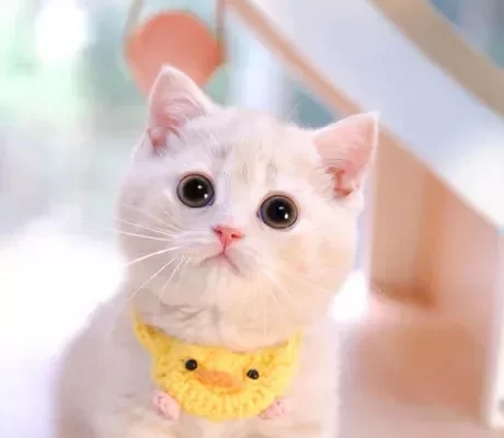 Welcome, sweetheart - 9GAG