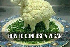 Cocinero usó oveja vegetal contra vegano. ¡Es súper efectivo!                                                                                                                                                                                 Más