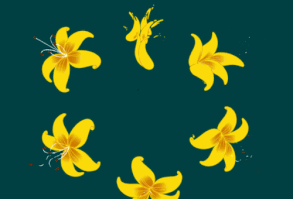 In an increasingly overwhelming digital landscape, Artist Anna Taberko creates beautifully self-contained illustrations that capture the delicate details o