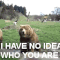 Whoever came up with this caption. | Community Post: 28 GIFs To Make You Happy When You're Feeling Down