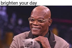 Facial expression - Here's a picture of Samuel L. Jackson holding a kitten to brighten your day