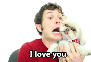 You provide your dog with the love and loyalty that it provides you with. | 15 Signs That You Are Obsessed With Your Dog