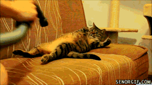 Other Funny Gifs gif-tv.tumblr.com/ And Funny Youtube Video - www.youtube.com/...
