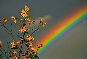 if you need an aesthetic wallpaper for your laptop check out this board ♥