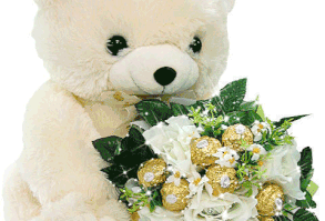 imagenes-bonitas-de-ositos-tiernos-6.gif 480×567 piksel