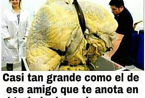 minato namikase es un omega fuerte, respetado,vondadoso. que pasaria… #fanfic # Fanfic # amreading # books # wattpad