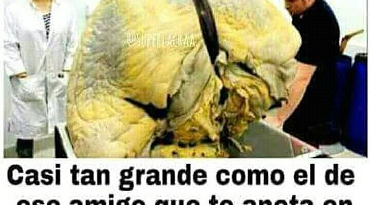 minato namikase es un omega fuerte, respetado,vondadoso. que pasaria… #fanfic # Fanfic # amreading # books # wattpad