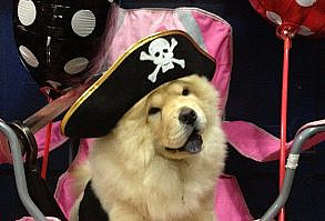 pirate chow