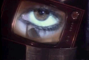 sloth unleashed : Photo